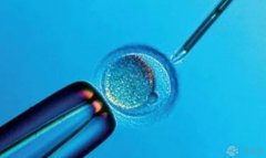 <b>2022年安徽试管婴儿三期医院男生，有助孕名单。</b>