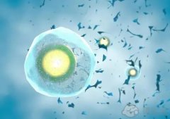 冷冻卵子和精子可以用于试管婴儿吗？冷冻鸡蛋的质量好吗？