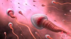 <b>烟台助孕30万起：男人的精子成活率只有30%，能不能怀孕？</b>