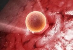 <b>新乡助孕中介靠谱吗：胚胎移植的位置至关重要，好的移植位置更有可能导致成</b>